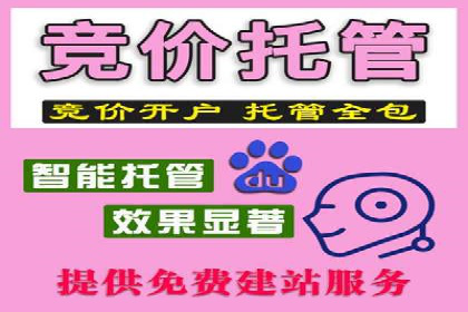 SEM推广技巧：成功案例深度剖析